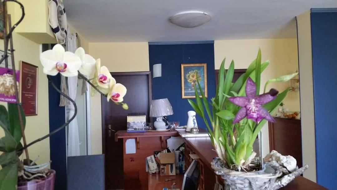Hotel Lozite ソゾポル エクステリア 写真